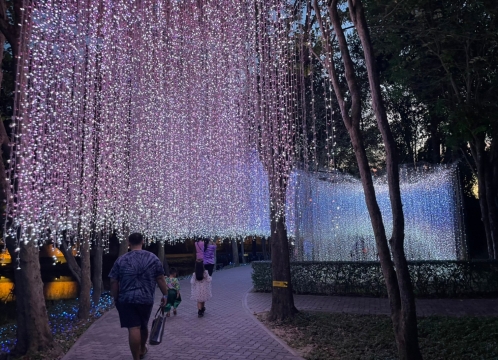 イルミネーション